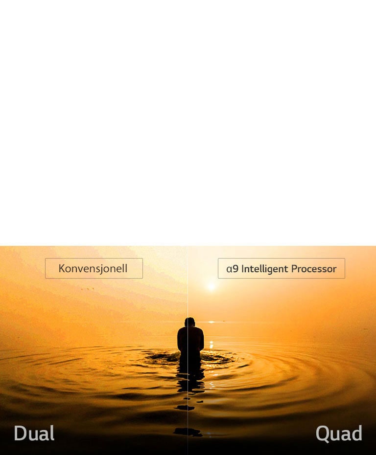 Quad Step støyreduksjon2