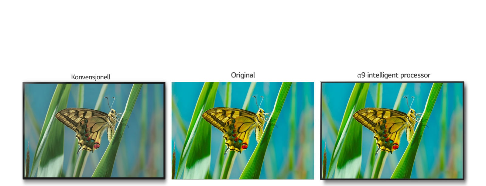 True Color Accuracy Pro1