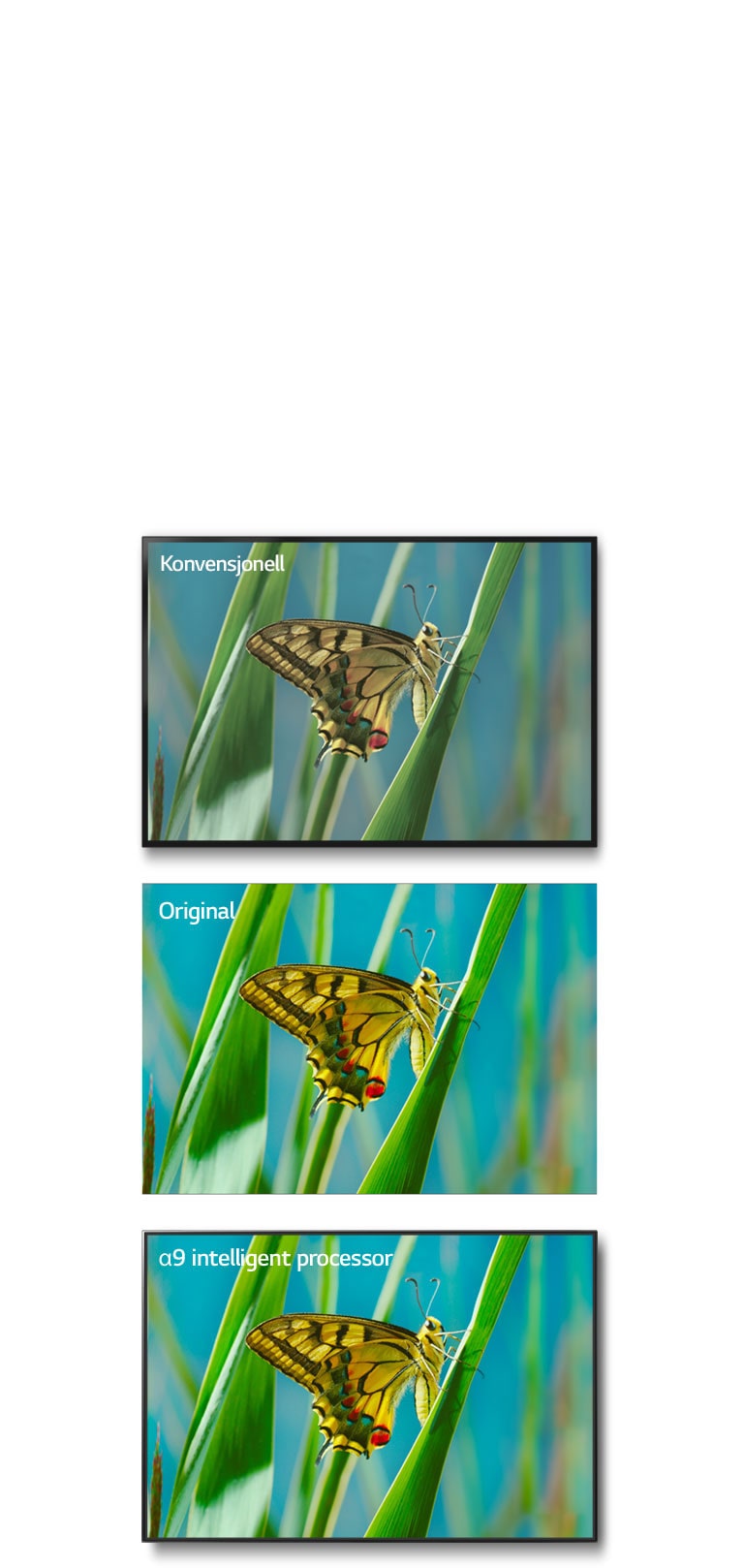 True Color Accuracy Pro2