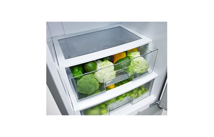 LG Automatisk avrimingi  kombiskap , 201 cm (nettovolum 343 liter), GBB530NSCFE, thumbnail 9