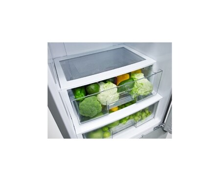 LG Automatisk avrimingi  kombiskap , 201 cm (nettovolum 343 liter), GBB530SWCFE, thumbnail 9