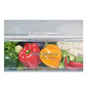 LG Ny Kombiskap med Total No Frost, 201cm (nettovolum 343 liter) , GBB60MCSFB, thumbnail 10