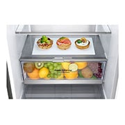 LG 1.86M 341L Kombiskap(Shiny Steel) - Energiklasse D, Door Cooling™, GBB71PZEFN, thumbnail 4