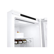 LG 386L Frittstående kjøleskap (hvit) - Energiklasse E, Door Cooling™, LINEARCooling™, Moist Balance Crisper ™, Detaljert av innsiden, GLT51SWGSZ, thumbnail 7