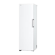 LG 324L Frittstående fryseskap (Hvit) - Energiklasse E, Total No Frost, Express Freeze, Høyre side, GFT41SWGSZ, thumbnail 10
