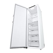 LG 324L Frittstående fryseskap (Hvit) - Energiklasse E, Total No Frost, Express Freeze, Sett fra høyre, åpent med mat, GFT41SWGSZ, thumbnail 9