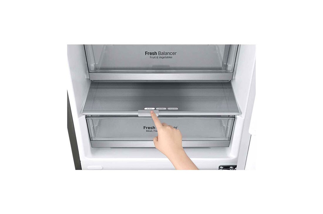 LG 1.86M 341L Kombiskap(Shiny Steel) - Energiklasse E, Door Cooling™, GBB71PZEMN, thumbnail 5