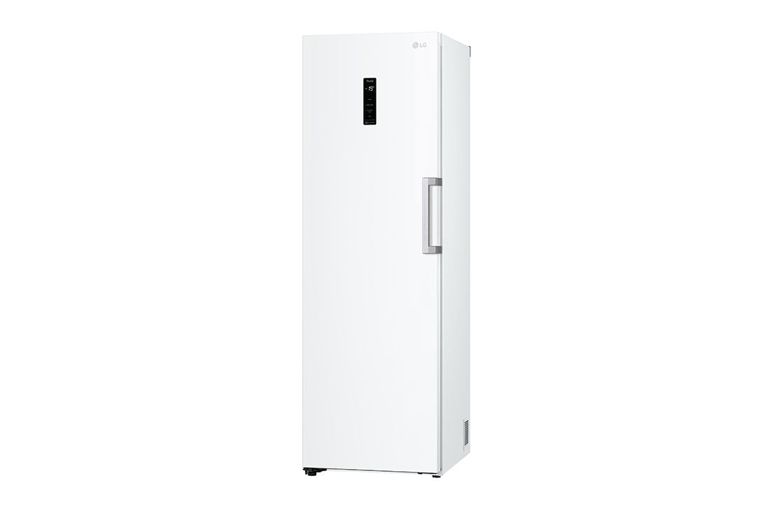 LG 324L Frittstående fryseskap (Hvit) - Energiklasse E, Total No Frost, Express Freeze, Smart Diagnosis™ med Wi-Fi, GFE41SWGSZ, GFE41SWGSZ, thumbnail 10