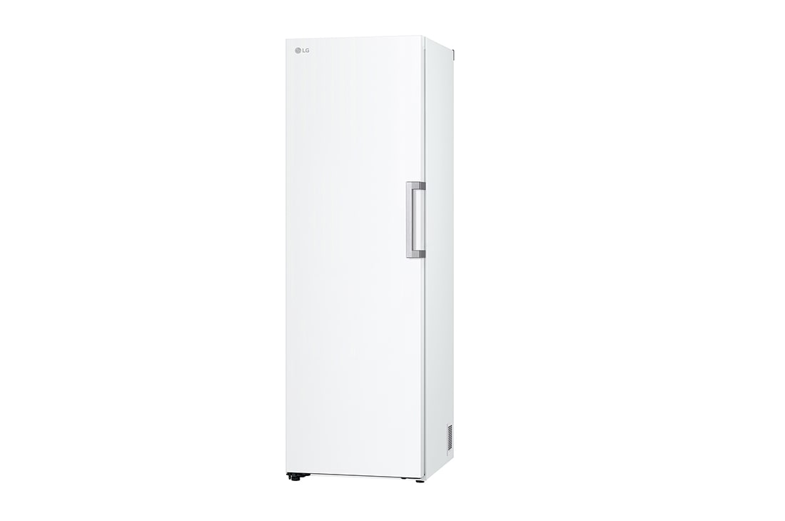 LG 324L Frittstående fryseskap (Hvit) - Energiklasse D, Total No Frost, Express Freeze, Smart Diagnosis™, GFT61SWCSF, GFT61SWCSF, thumbnail 10