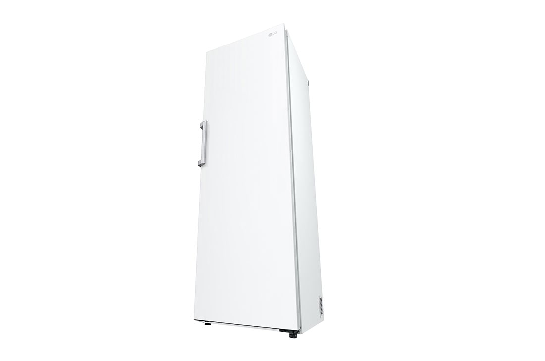 LG 386L Frittstående kjøleskap (Hvid - Energiklasse D, Door Cooling™, LINEARCooling™, FRESHBalancer™, Smart Diagnosis™, GLT71SWCSF, thumbnail 11