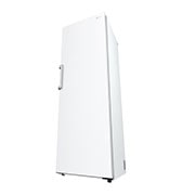LG 386L Frittstående kjøleskap (Hvid - Energiklasse D, Door Cooling™, LINEARCooling™, FRESHBalancer™, Smart Diagnosis™, GLT71SWCSF, thumbnail 11