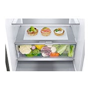 LG 1.86M 341L Kombiskap(Shiny Steel) - Energiklasse C, Door Cooling™ og Smart Diagnosis™, ELB81PZVCP, ELB81PZVCP, thumbnail 5