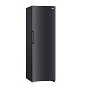 LG 386L Frittstående kjøleskap (Matte Black - Energiklasse E, Door Cooling™, LINEARCooling™, FRESHBalancer™, Smart Diagnosis™, GLT71MCCSZ, GLT71MCCSZ, thumbnail 12