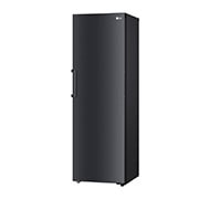 LG 386L Frittstående kjøleskap (Matte Black - Energiklasse E, Door Cooling™, LINEARCooling™, FRESHBalancer™, Smart Diagnosis™, GLT71MCCSZ, GLT71MCCSZ, thumbnail 13