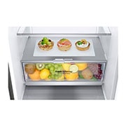 LG 2.03M 384L Kombiskap(Shiny Steel) - Energiklasse D, Door Cooling™, GBB72PZEGN, thumbnail 5