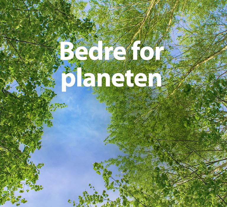 Et grønt bilde fullt av kraftige løvtrær og mellom trærne vises en sky