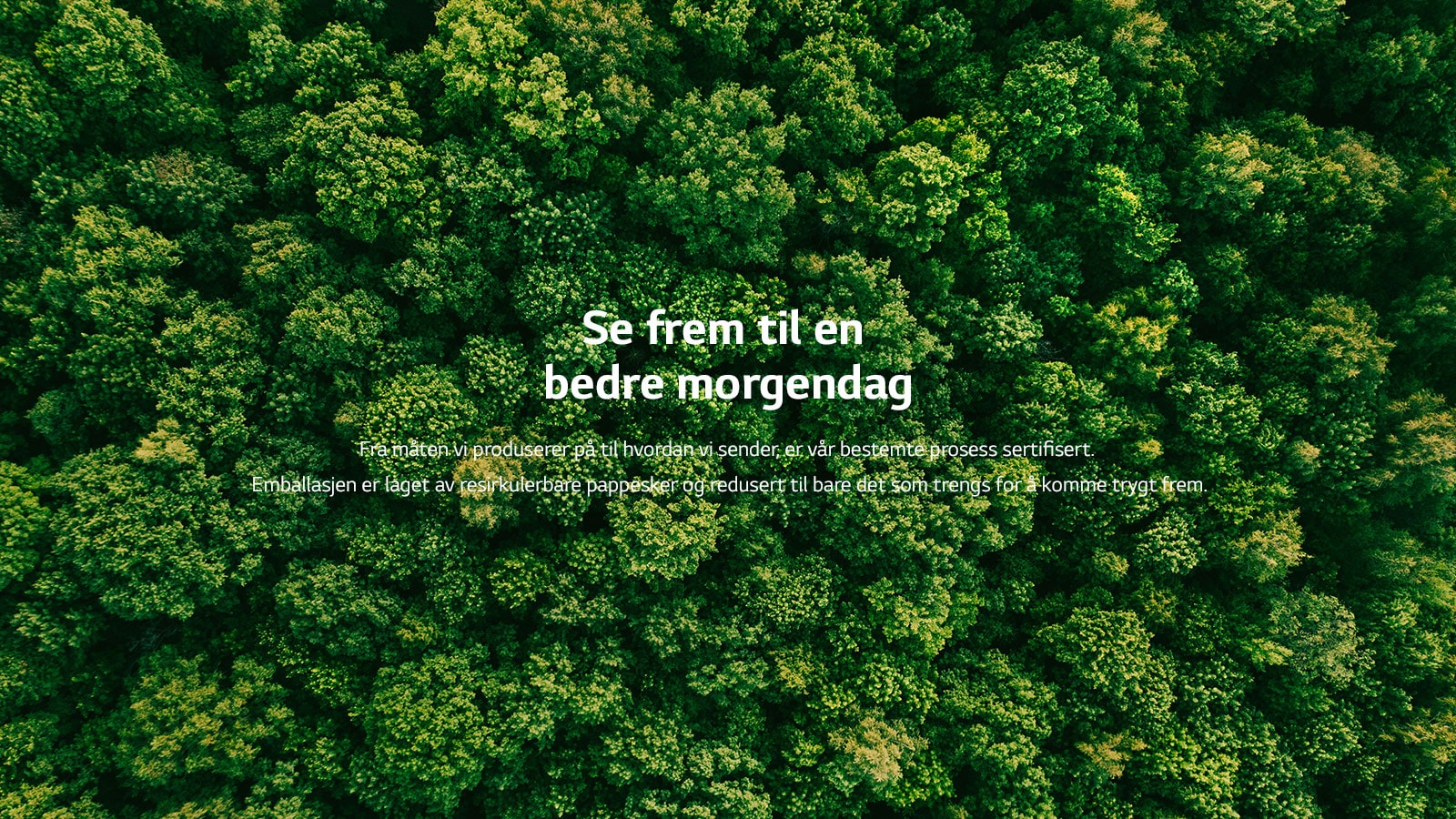 Et flyfoto av grønn skog