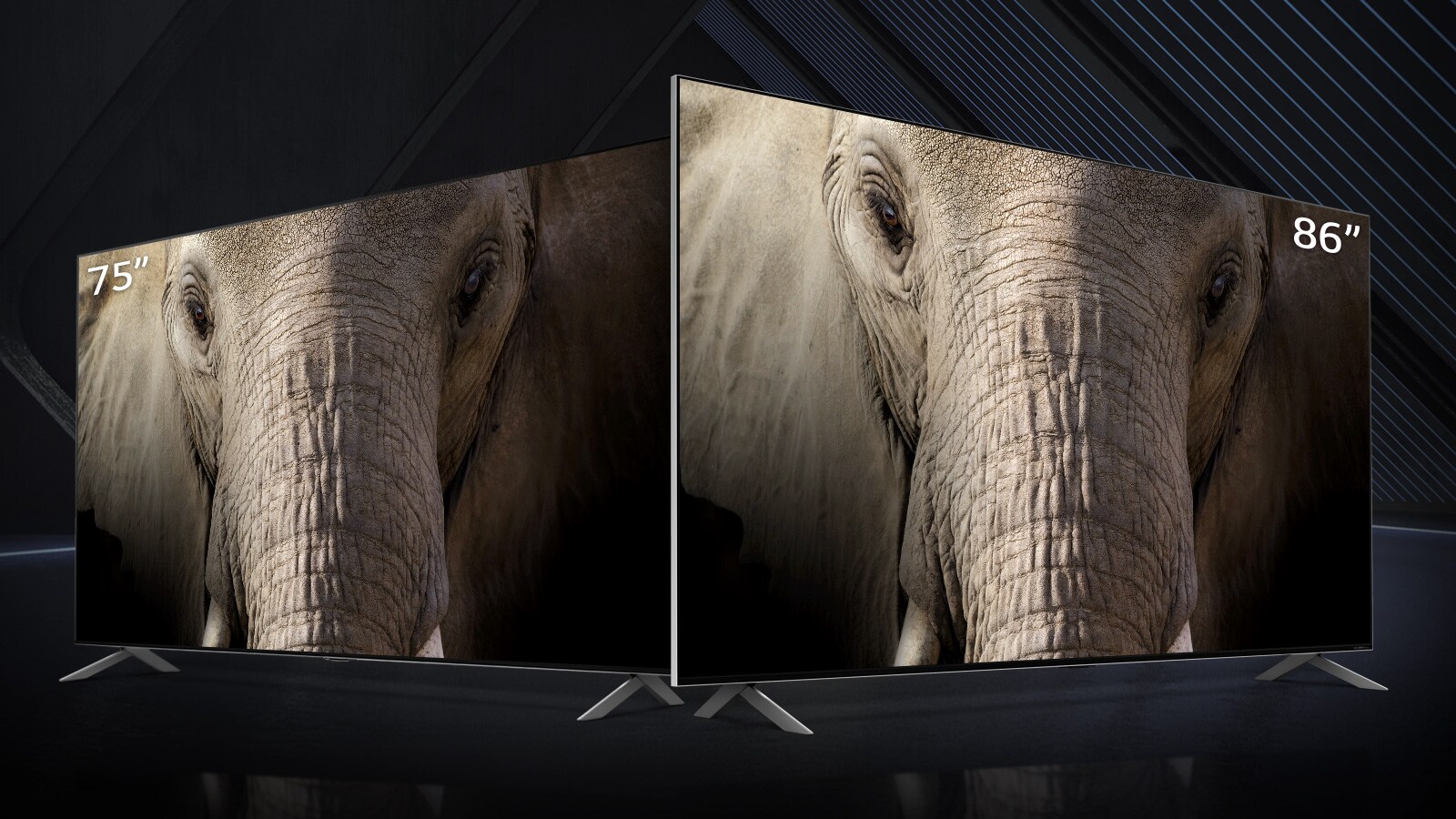 En ultrastor LG QNED Mini LED TV med skjermstørrelser på 75 og 86 tommer står side ved side mot en mørk bakgrunn. Skjermene viser et nærbilde av et elefantansikt.