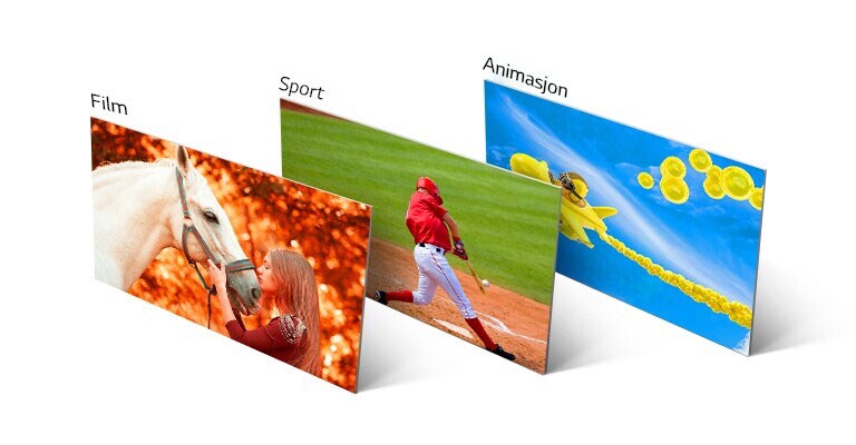 Tre bilder, det første som viser en jente som kysser en hest, det andre en baseballspiller som slår en ball og det tredje viser et animert fly som flyr over himmelen.