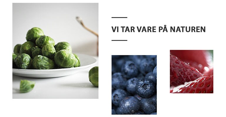 NO-REF-NatureFRESH-Vplus-01-Story-03-Saving-Nature-Mobile