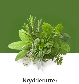 DK-REF-NatureFRESH-Vplus-03-UsefulTips-04-6-Herbs