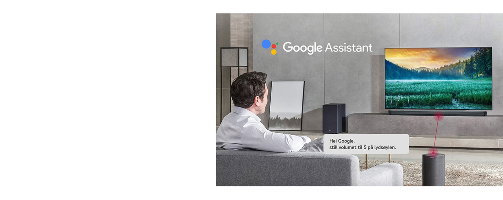 Google Assistant-kompatibel1