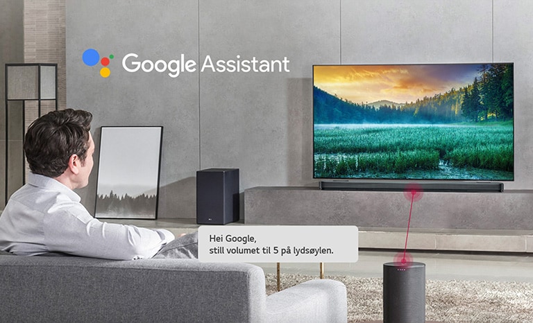Google Assistant-kompatibel2