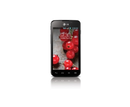 LG 4,0'' IPS-skjerm, 1 GHz prosessor, Android 4.1, 5MP kamera, Optimus L5II Dual SIM E455