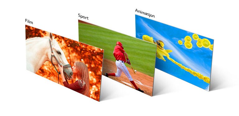 Tre bilder, det første som viser en jente som kysser en hest, det andre en baseballspiller som slår en ball og det tredje viser et animert fly som flyr over himmelen.