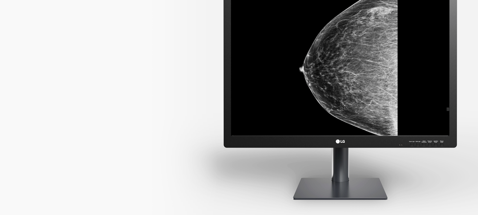 Fokusert visning lar brukere gjennomgå bestemte deler av bildet