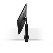 LG 31,5 “ UHD 4K Ergo IPS-skjerm med USB type C™, 32UN880-B, thumbnail 11