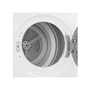 LG 9-kg DUAL Inverter Heat Pump™ Tørketrommel med Eco Hybrid™og Varmepumpeteknologi , trommevisning, RV3DN9037, thumbnail 4