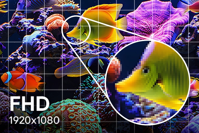 LG TV med Full HD-oppløsning viser detaljer i 1920×1080-oppløsning, der en undervannsscene fremstår skarpere med et finere pikselnett og innzoomede fisker, noe som fremhever grunnleggende klarhet og jevnere bilder sammenlignet med lavere oppløsninger.
