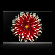 LG OLED TV - G7 65'', OLED65G7V, thumbnail 1