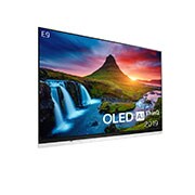 LG OLED 4K TV - 55'', OLED55E9PLA, thumbnail 3