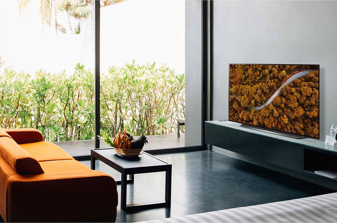 LG 55'' LG OLED 4K TV - CX, Living room with a sofa and a TV showing an aerial view of nature, OLED55CX6LA, thumbnail 12