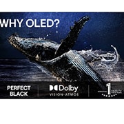 LG 77'' OLED evo AI C5 4K Smart TV 2025, Fargerik papegøye i ultrahøy oppløsning mot en svart bakgrunn. Vanndråper svever i luften rundt den. Bildet viser Perfect Color da hver fargetone på papegøyens kropp er sterk og livaktig. Ulike logose, OLED77C54LA, thumbnail 9
