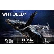 LG 48'' OLED evo AI G5 4K Smart TV 2025, lifestyle view, OLED48G56LS, thumbnail 9