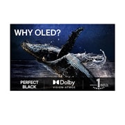 LG 65 tommers LG OLED evo M5 4K Smart TV 2025, Spejs šatl se lansira sa zemlje. Scena je podeljena po sredini, pri čemu je jedna polovina nešto tamnija i bez živosti. Druga polovina prikazuje kako je eksplozija rakete izuzetno svetla, pokazujući k, OLED65M59LA, thumbnail 8