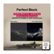 LG 65 tommers LG OLED evo M5 4K Smart TV 2025, Raznobojan papagaj u ultravisokoj rezoluciji naspram crne pozadine. Oko njega su u vazduhu kapljice vode. Živopisna slika koja prikazuje tehnologiju Perfect Color sa živopisnim i jarkim nijansama na t, OLED65M59LA, thumbnail 10