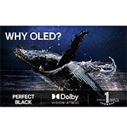 LG 65'' OLED evo AI G5 4K Smart TV 2025, lifestyle view, OLED65G56LS, thumbnail 9