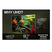 LG 50'' UHD AI UA73 4K Smart TV 2025, LG AI Magic Remote med fremhevet AI-knapp. Rundt den er det flere funksjoner som brukeren har tilgang til via knappen. AI Voice ID, AI Search, AI Chatbot, AI Concierge, AI Picture Wizard, AI Sound Wiz, 50UA73006LA, thumbnail 10