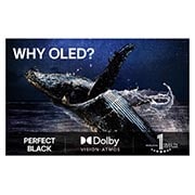 LG 97'' OLED evo AI G5 4K Smart TV 2025, lifestyle view, OLED97G54LW, thumbnail 9