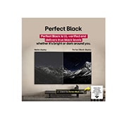 LG 97'' OLED evo AI G5 4K Smart TV 2025, lifestyle view, OLED97G54LW, thumbnail 11