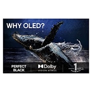 LG 48'' OLED evo AI C5 4K Smart TV 2025, Fargerik papegøye i ultrahøy oppløsning mot en svart bakgrunn. Vanndråper svever i luften rundt den. Bildet viser Perfect Color da hver fargetone på papegøyens kropp er sterk og livaktig. Ulike logose, OLED48C54LA, thumbnail 9