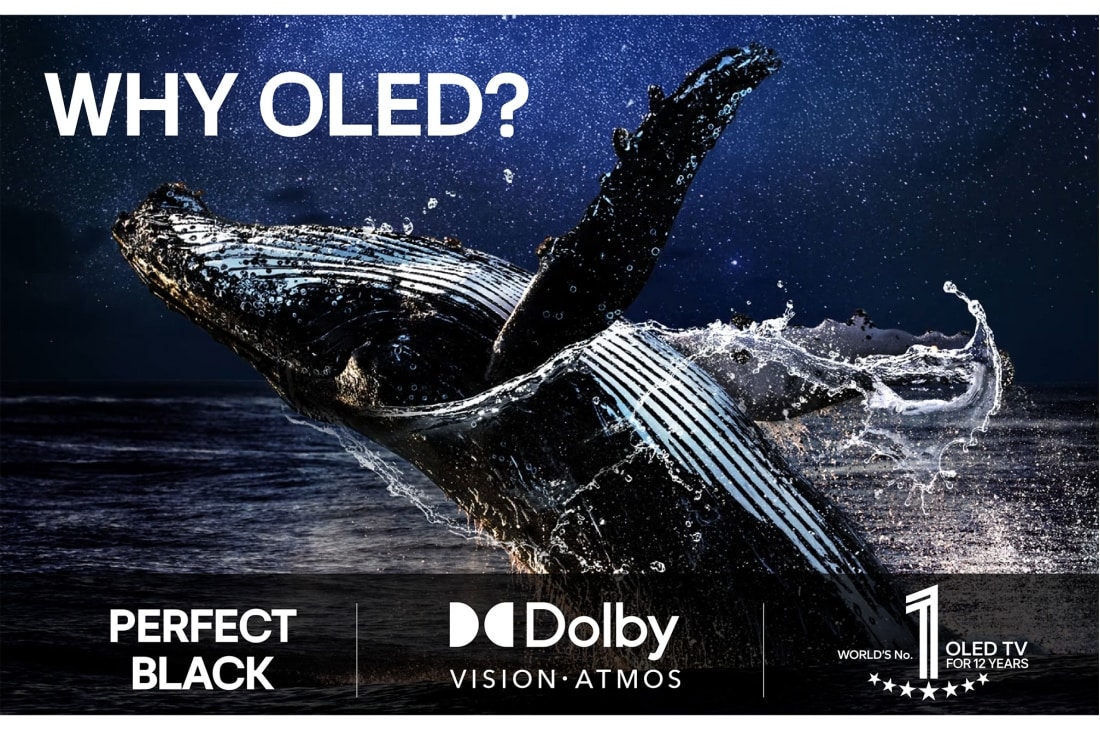 LG 55'' OLED evo AI C5 Pro 4K Smart TV 2025, OLED55C5ELB, thumbnail 8