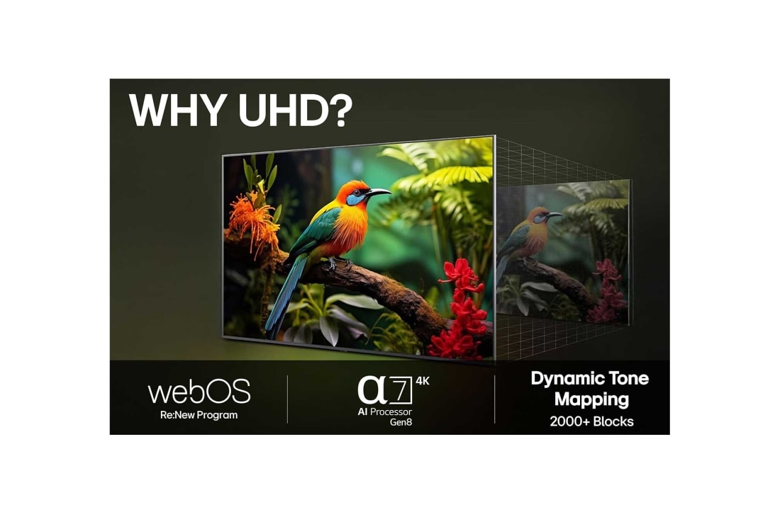 LG 86'' UHD AI UA75 4K Smart TV 2025, LG AI Magic Remote med fremhevet AI-knapp. Rundt den er det flere funksjoner som brukeren har tilgang til via knappen. AI Voice ID, AI Search, AI Chatbot, AI Concierge, AI Picture Wizard, AI Sound Wiz, 86UA75006LA, thumbnail 10