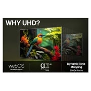 LG 86'' UHD AI UA75 4K Smart TV 2025, LG AI Magic Remote med fremhevet AI-knapp. Rundt den er det flere funksjoner som brukeren har tilgang til via knappen. AI Voice ID, AI Search, AI Chatbot, AI Concierge, AI Picture Wizard, AI Sound Wiz, 86UA75006LA, thumbnail 10