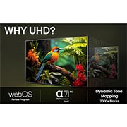 LG 50'' UHD AI UA74 4K Smart TV 2025, LG TV-skjerm med en AI Magic Remote i forgrunnen. AI-knappen fremheves og en snakkeboble viser tekst, og anbefaler en film jeg liker. På skjermen ser vi brukerikonet E, som viser hvordan AI Voice ID i, 50UA74006LB, thumbnail 9