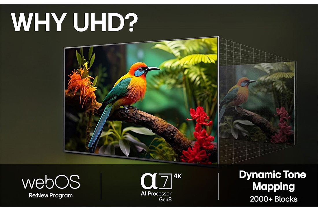 LG 50'' UHD AI UA74 4K Smart TV 2025, LG TV-skjerm med en AI Magic Remote i forgrunnen. AI-knappen fremheves og en snakkeboble viser tekst, og anbefaler en film jeg liker. På skjermen ser vi brukerikonet E, som viser hvordan AI Voice ID i, 50UA74006LB, thumbnail 9